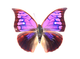 Similar image 8272261