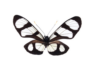 Similar image 8272264