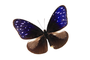 Similar image 8272266