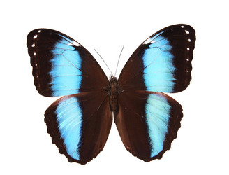 Similar image 8272267