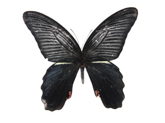 Similar image 8272268