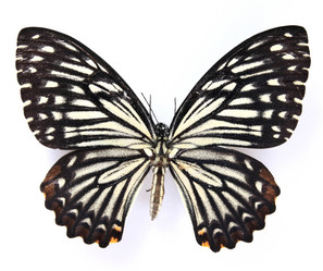 Similar image 8272273