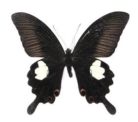 Similar image 8272274