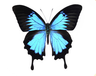 Similar image 8272275