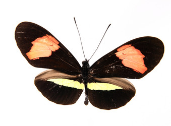 Similar image 8272317