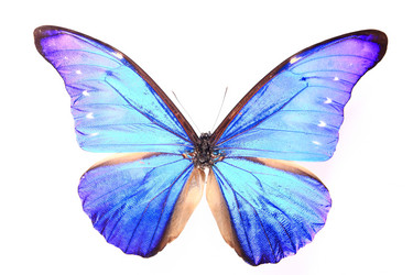 Similar image 8272333