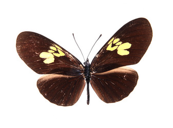 Similar image 8272337