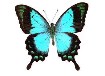 Similar image 8272338