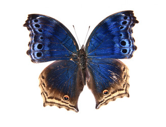 Similar image 8272340