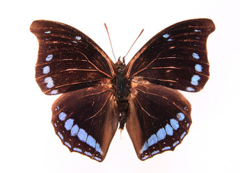 Similar image 8272342