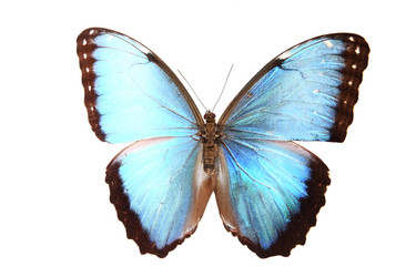 Similar image 8272381