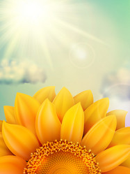 Similar image 8272422