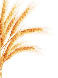 Similar image 8272498