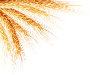 Similar image 8272499