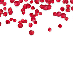 Similar image 8272528