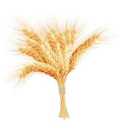 Similar image 8272554