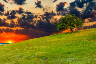 Similar image 8272785