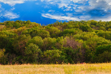 Similar image 8272787