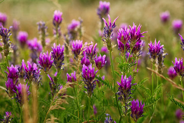 Similar image 8272818