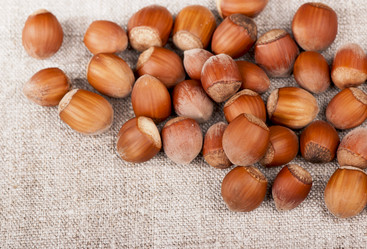 Similar image 8272829