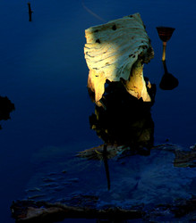 Similar image 8272830