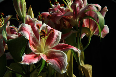 Similar image 8272849