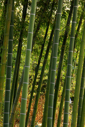 Similar image 8272872