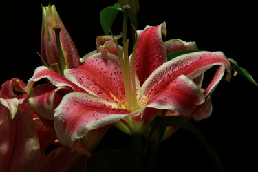 Similar image 8272874