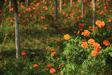 Similar image 8272875