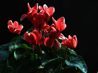 Similar image 8272876