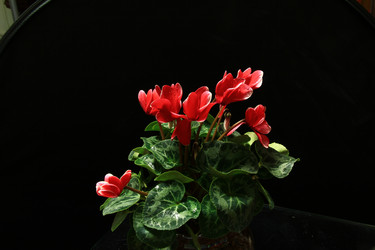 Similar image 8272877