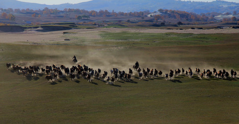 Similar image 8272927