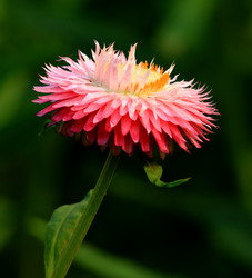 Similar image 8272970