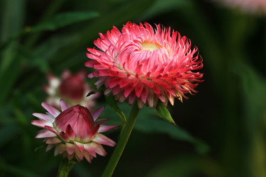 Similar image 8272971