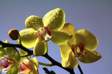 Similar image 8272973