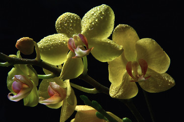 Similar image 8272974