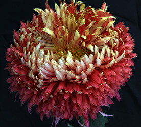 Similar image 8272976