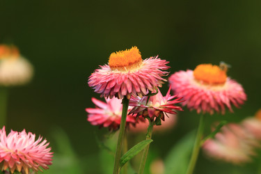 Similar image 8272987