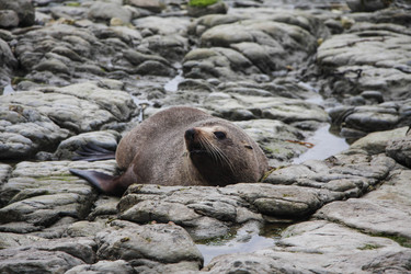 Similar image 8273058