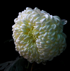 Similar image 8273069