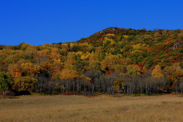 Similar image 8273081