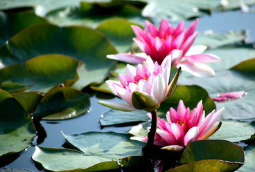 Similar image 8273113