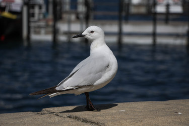 Similar image 8273116