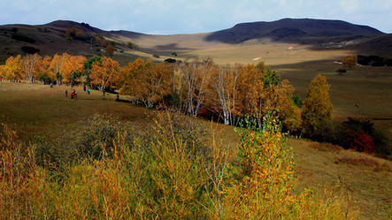 Similar image 8273229