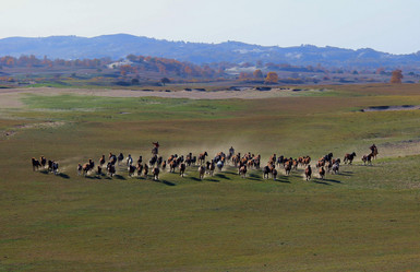 Similar image 8273239