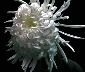 Similar image 8273241