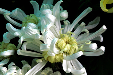 Similar image 8273242