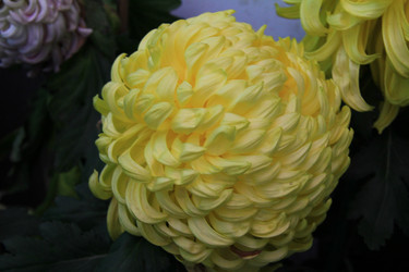 Similar image 8273243