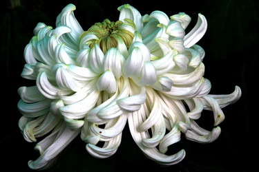 Similar image 8273248