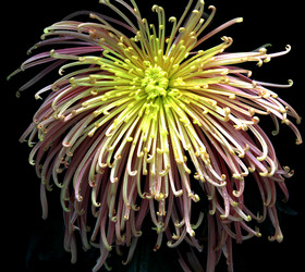 Similar image 8273249